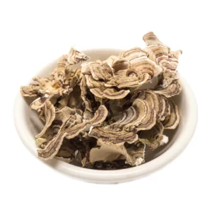 Buy Medicinal Mushrooms