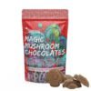 Amazonian Magic Mushroom Chocolate 1000MG
